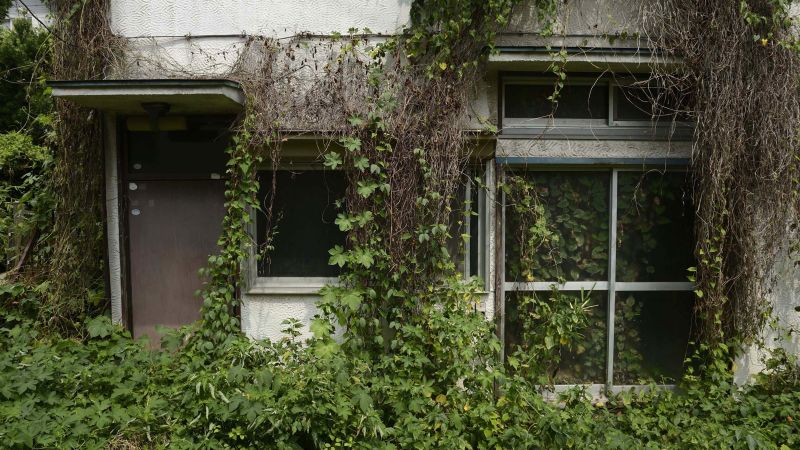 Super-aged Japan now has 9 million vacant homes. And that’s a problem