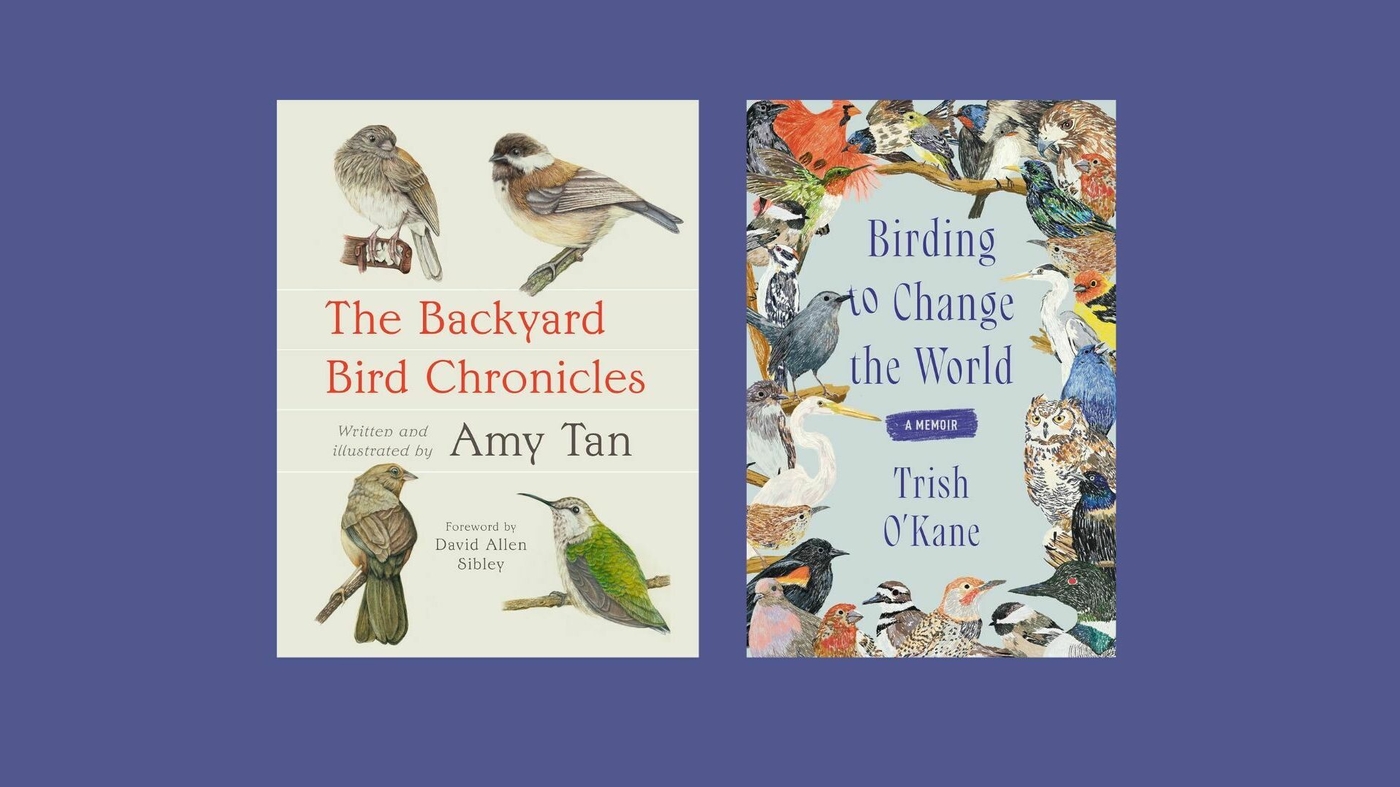 Looking for new ways to appreciate nature? 2 new birding books may help