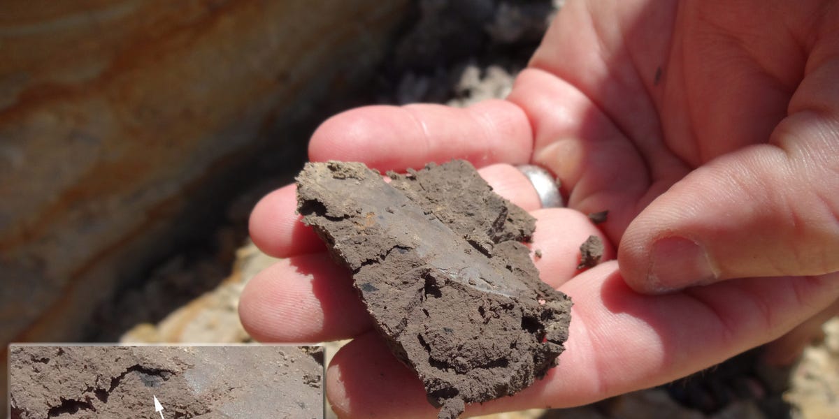 22,000-year-old artifacts could rewrite ancient human history in North America