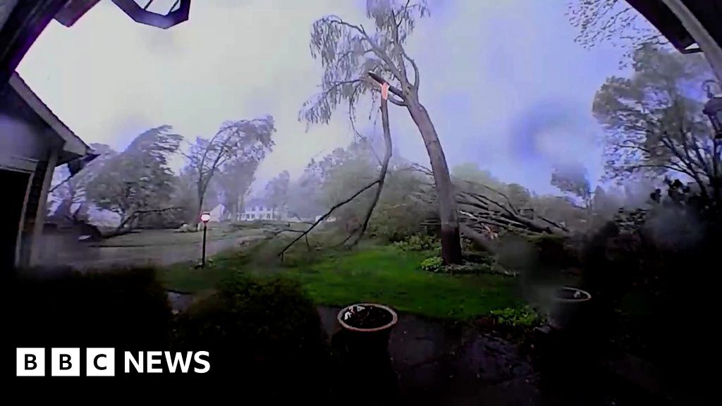 Doorcam captures tornado winds tearing down trees