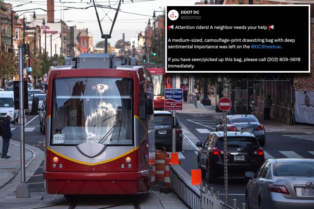 Washington, DC widow Cherise Wells pleads for help locating husband's ashes on street car