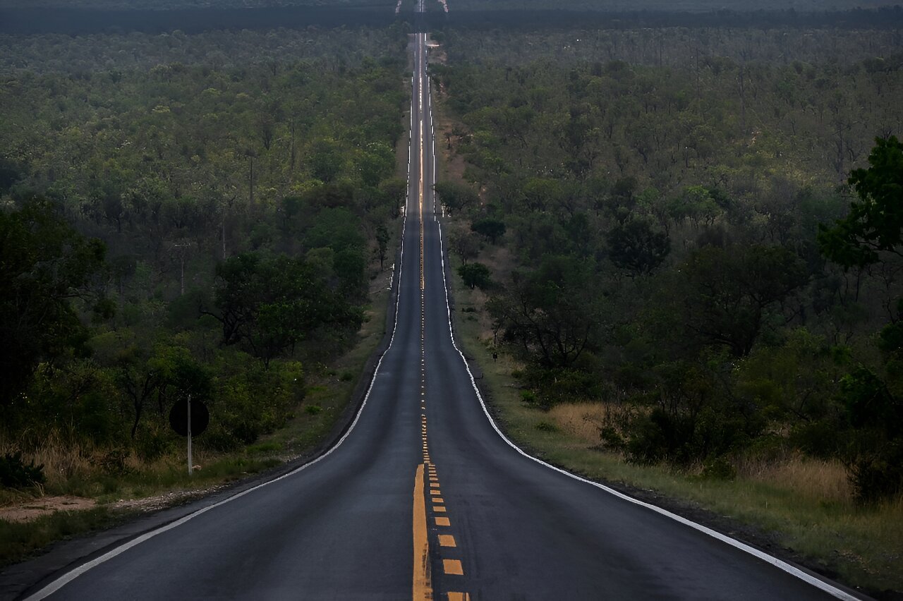 Deforestation in Brazil's Cerrado higher than in Amazon: Report