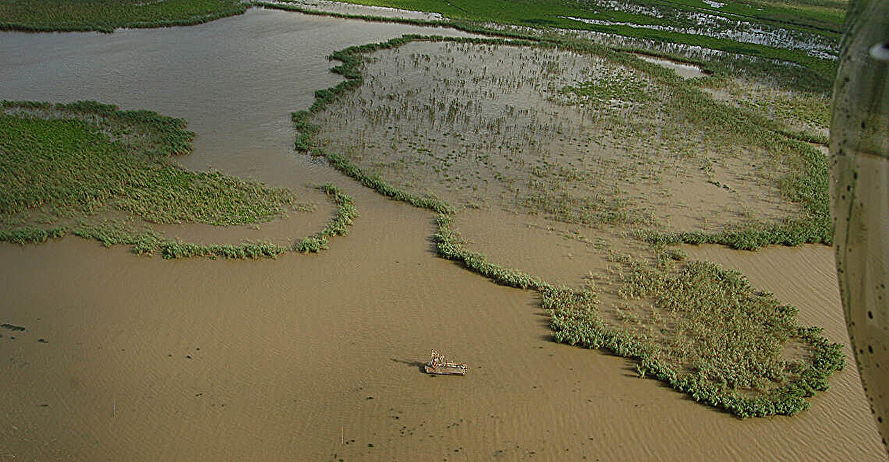 Study finds sea-level rise and weather-related shocks caused Louisiana marsh to die back