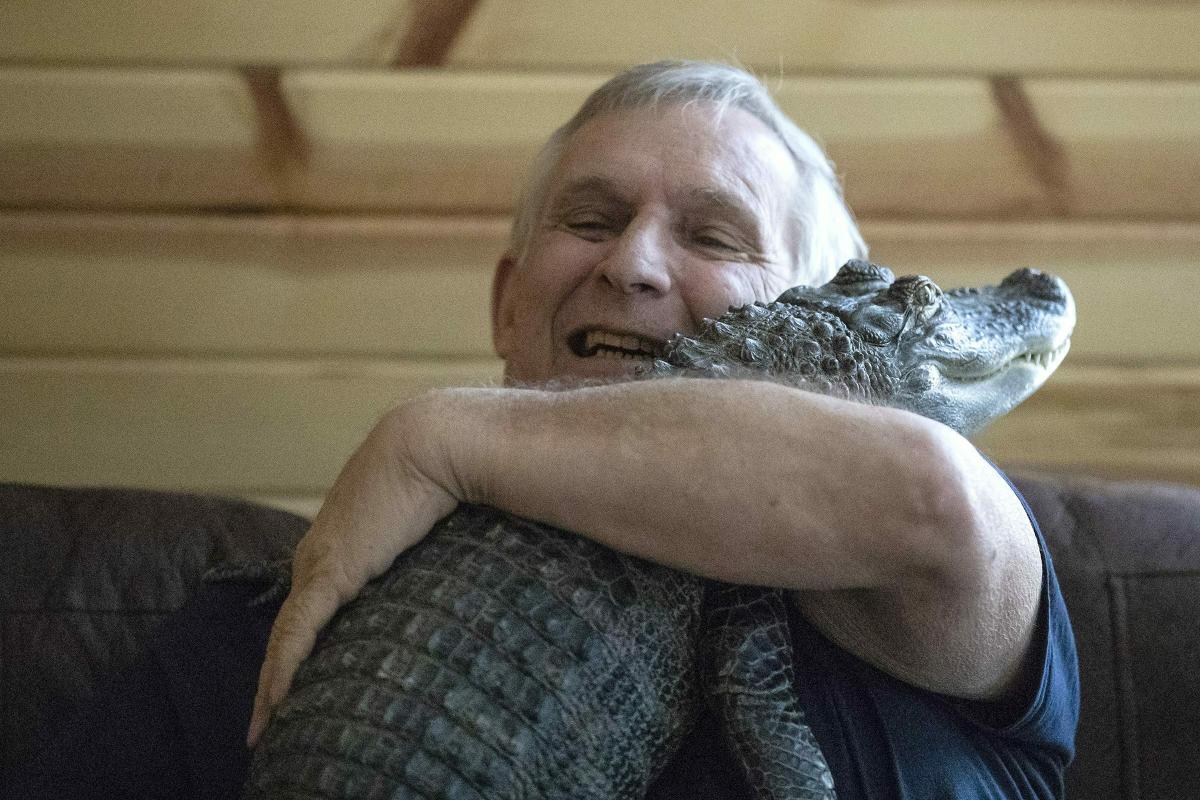 Man says his emotional support alligator, known for its big social media audience, has gone missing