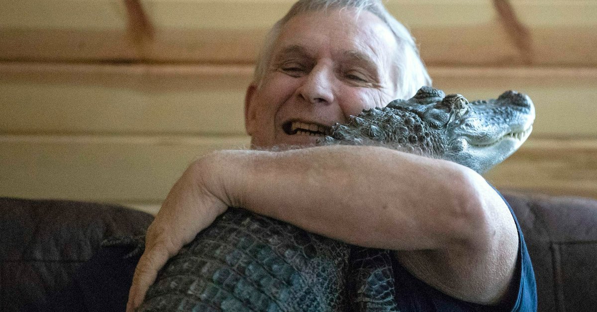 Viral Emotional Support Alligator Has Gone Missing, Owner Says