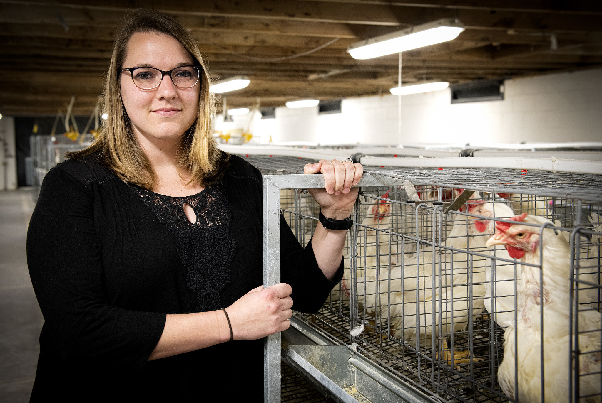 Researchers uncover what makes some chickens more water-efficient than others