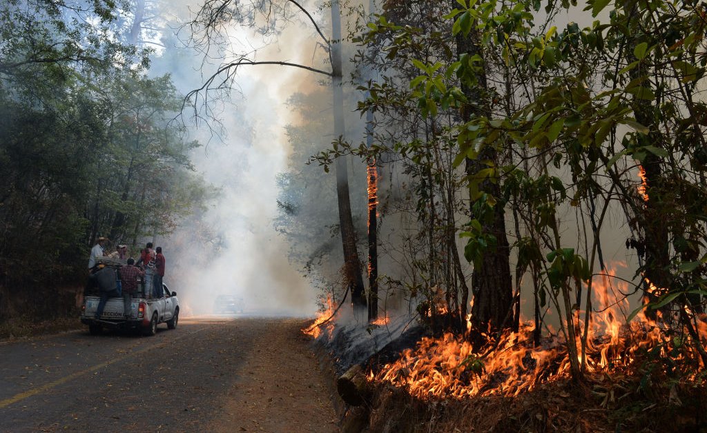 Mexico Is Fighting Over 100 Active Wildfires Amid a Heat Wave