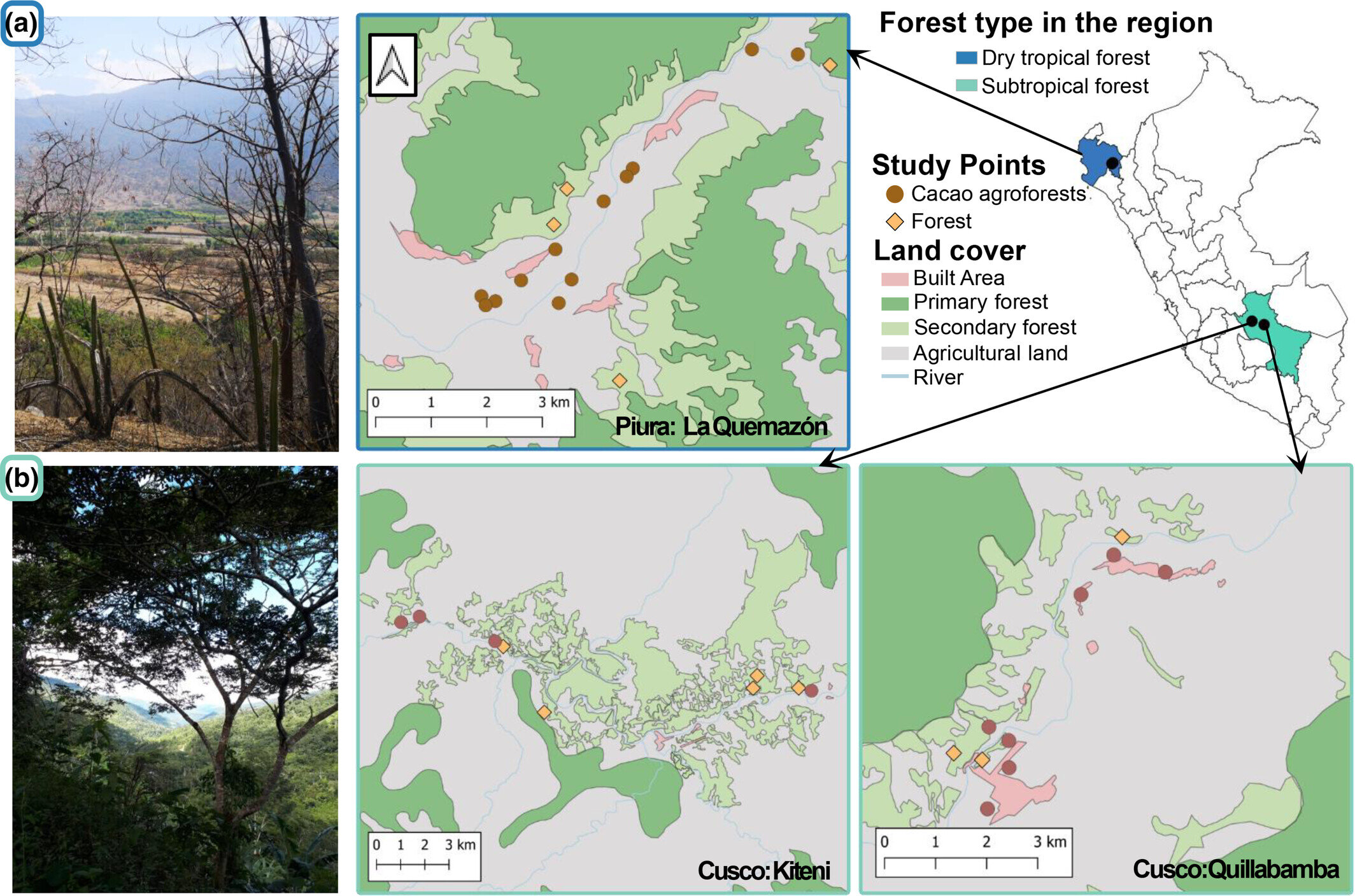 Study explains regional differences in bird diversity in agroforestry systems