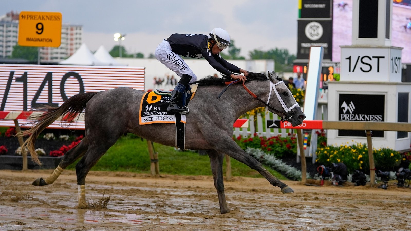 Seize the Grey wins the Preakness for D. Wayne Lukas and ends Mystik Dan’s Triple Crown bid