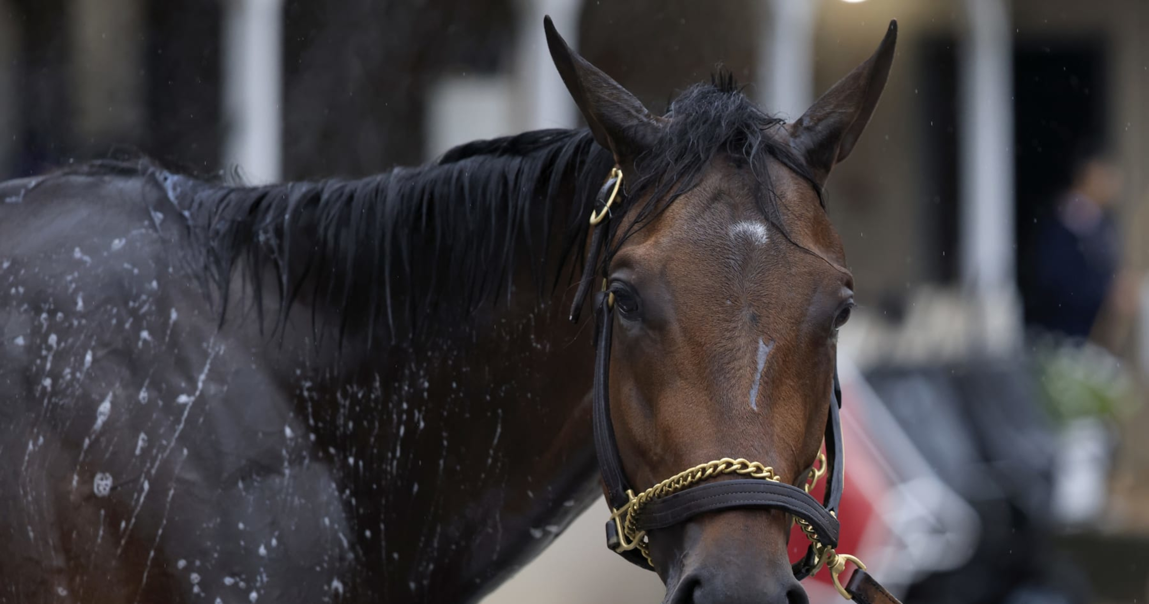 Mike Repole Compares Horse Fierceness to Kobe Bryant, Tom Brady Before Kentucky Derby