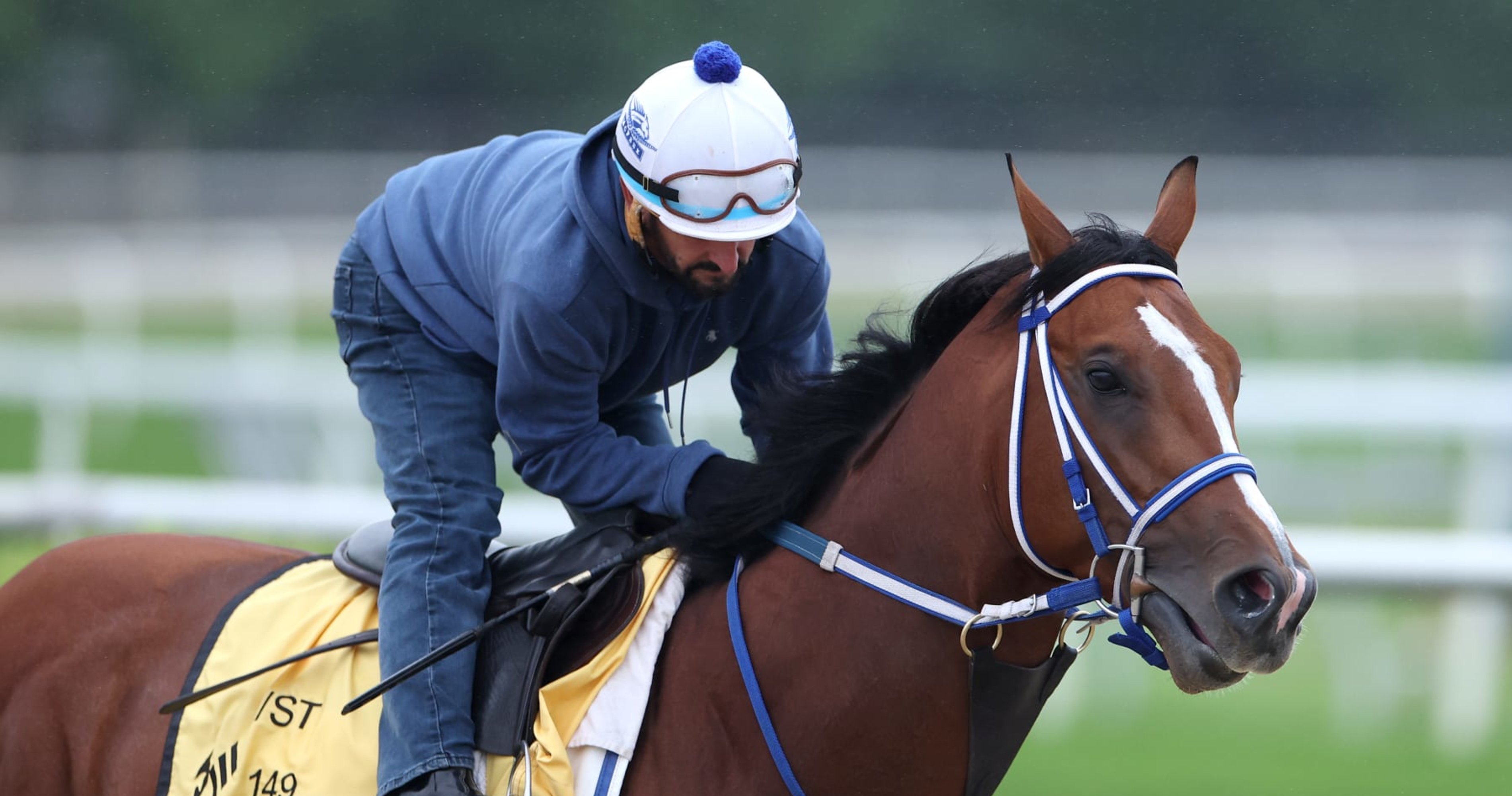 Preakness 2024 Post Positions: Predictions for Each Horse in the Lineup