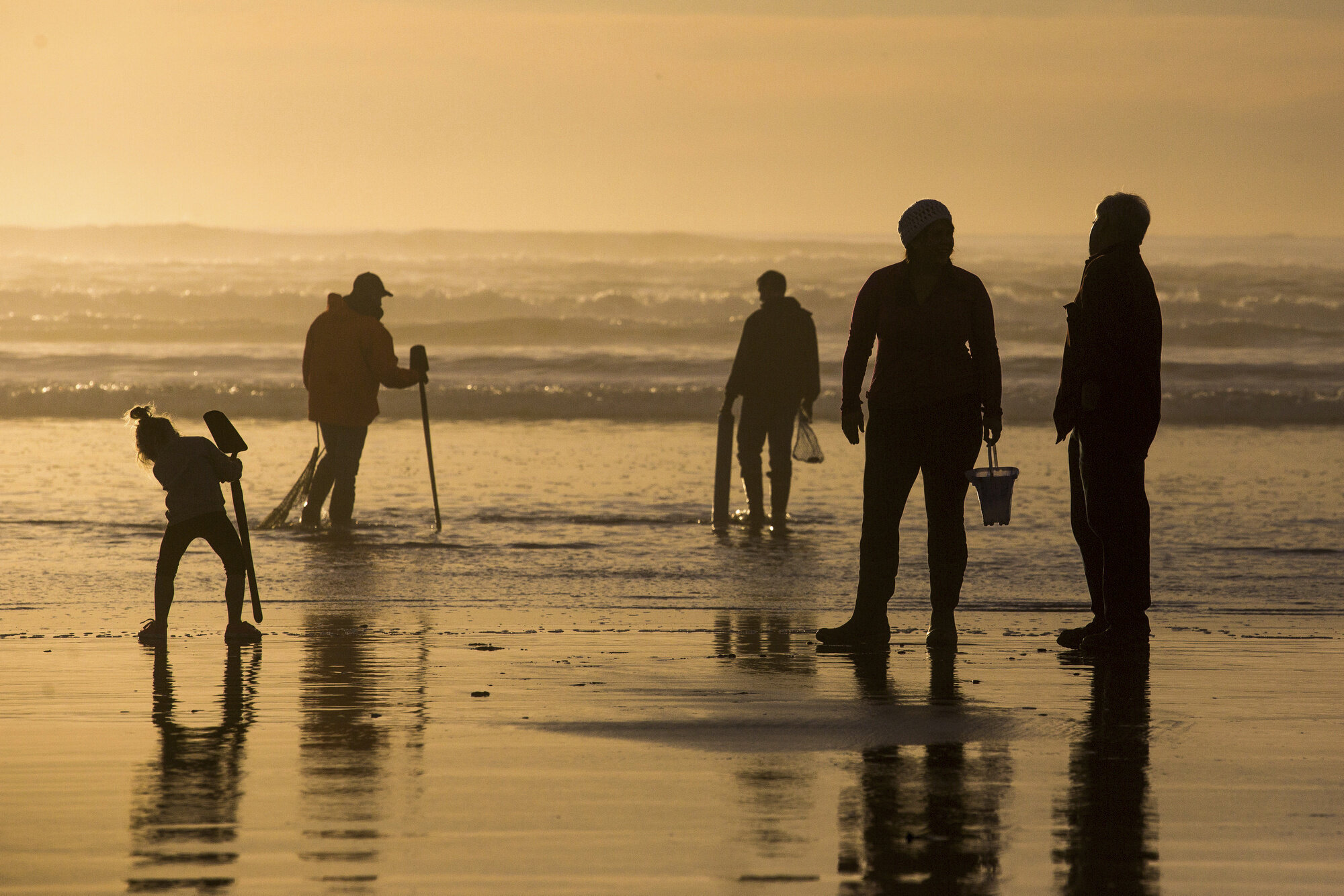 Oregon officials close entire coast to mussel harvesting due to shellfish poisoning