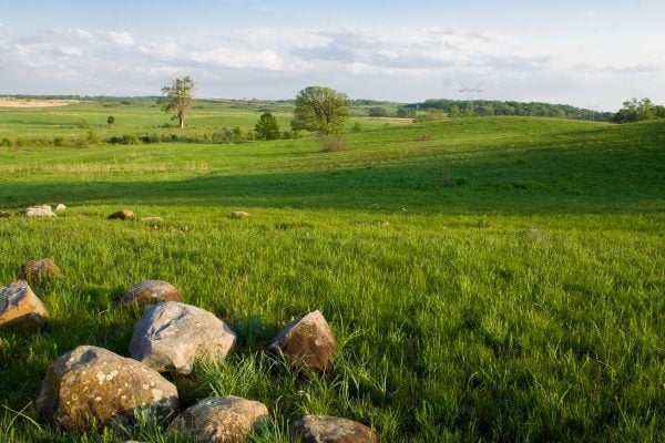 Nachusa Grasslands in Franklin Grove, Illinois