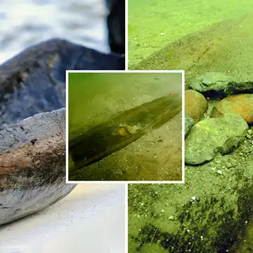 Ancient canoes submerged in Wisconsin lake suggest lost village