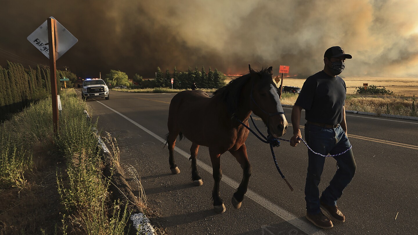 California firefighters make significant progress against wildfire east of San Francisco Bay