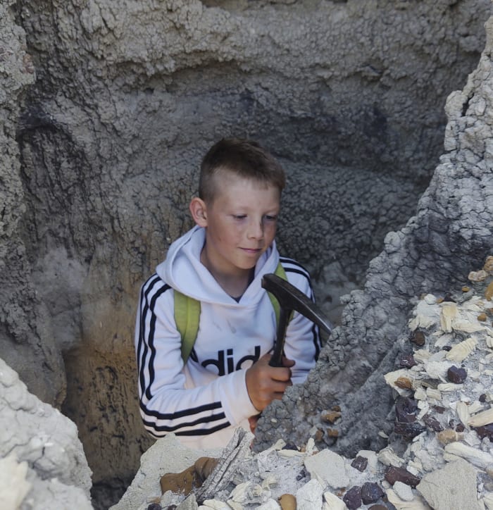 Three boys found a T. rex fossil in North Dakota. Now a Denver museum works to fully reveal it