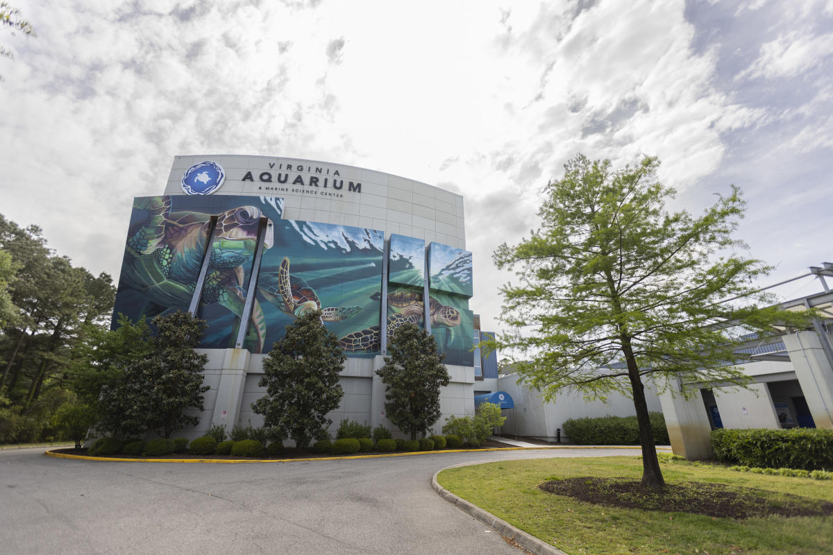 Public left out of talks about future of Virginia Aquarium, Virginia Beach council member says