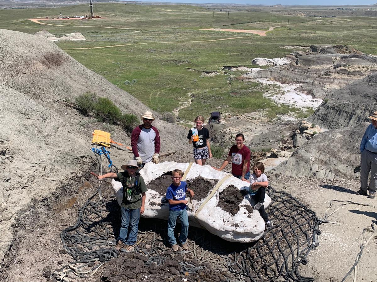 Three boys discovered teenage T. rex fossil in northern US: 'Incredible dinosaur discovery'