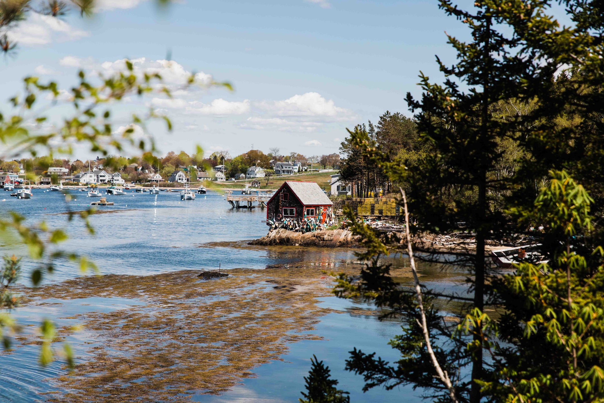 Lobster rolls and lighthouses: The perfect Maine road trip