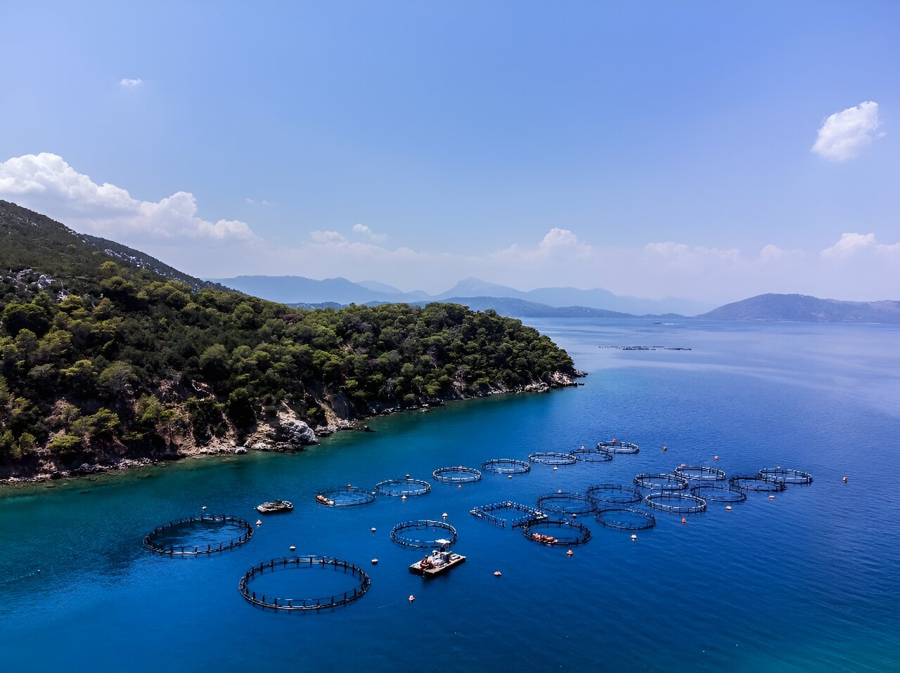 Aquaculture overtakes wild fisheries for first time: UN report