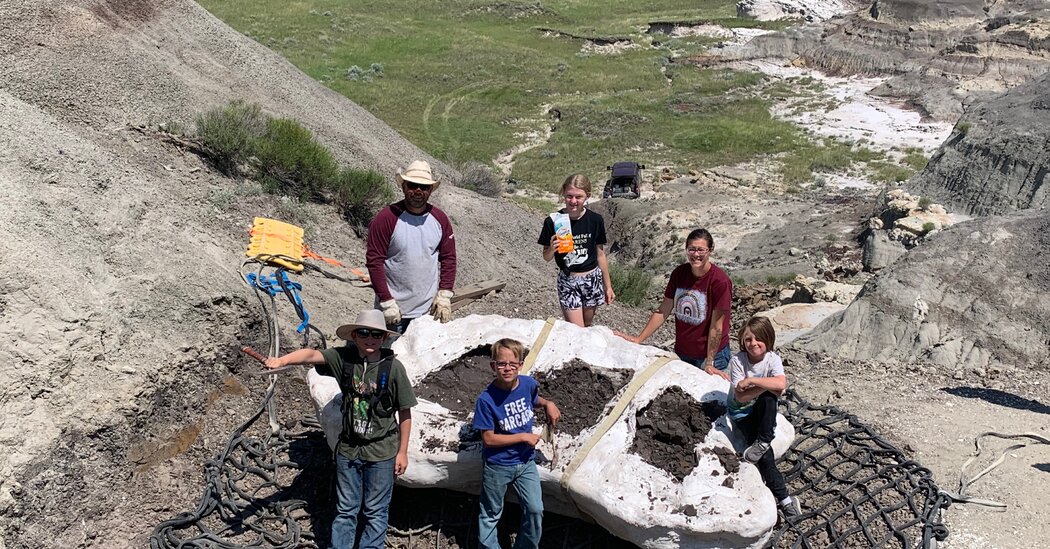 Family Discovers Rare T. Rex Fossil in North Dakota