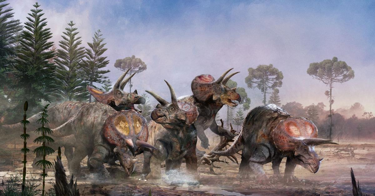 'Parque Jurásico' tenía razón: los Triceratops vivían en manada