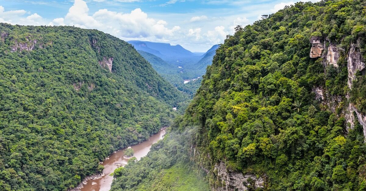 Giant Wildlife, Waterfalls, and a Canopy Walkway: 5 Epic Adventures in Guyana (Plus Where to Eat After)