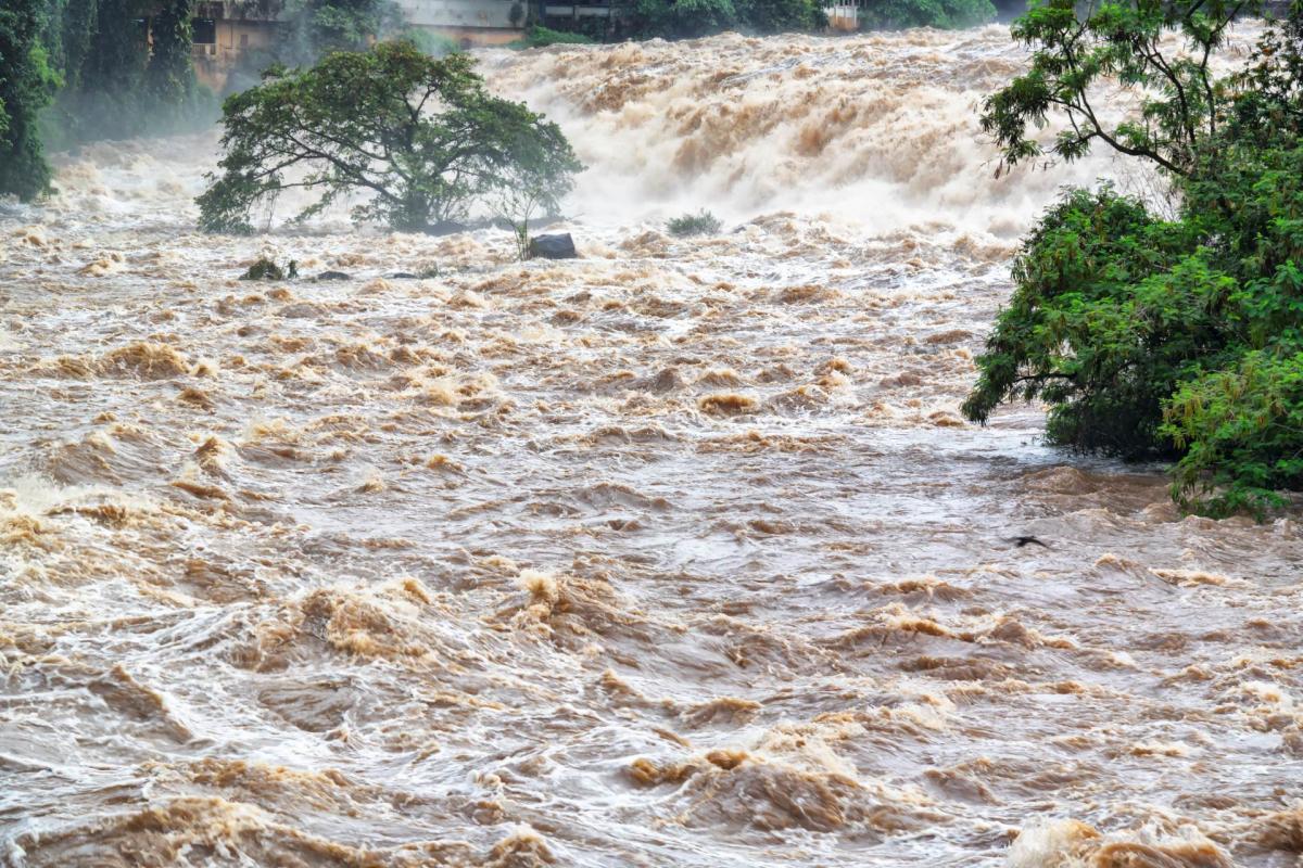 Devastating and ongoing flooding uproots hundreds of thousands of citizens in a matter of days: 'I have no idea where I'm going'