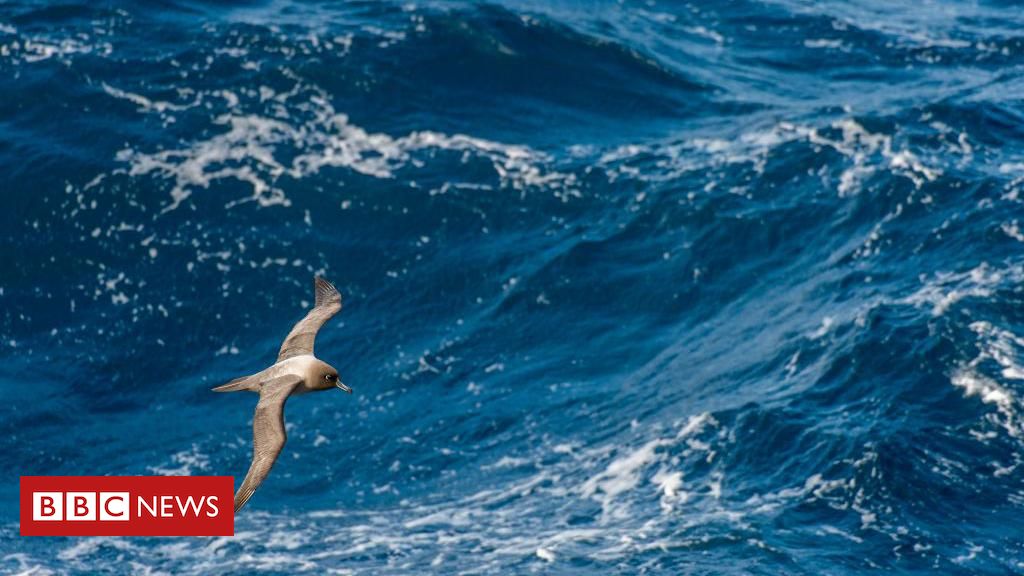 Por que o Oceano Pacífico é mais alto que o Atlântico - e como isso afeta o Canal do Panamá