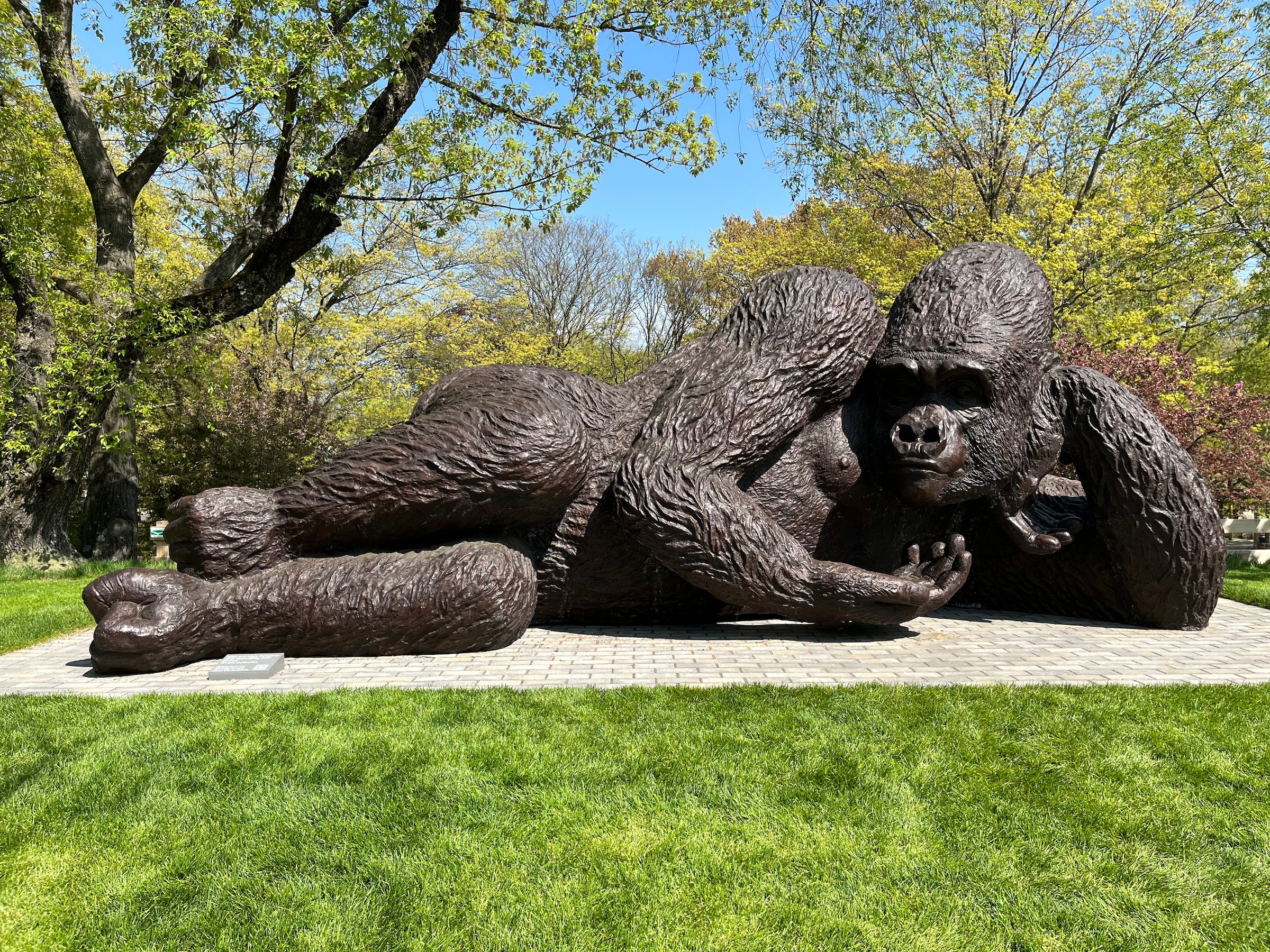 “World’s Largest Bronze Gorilla” Lands in Connecticut