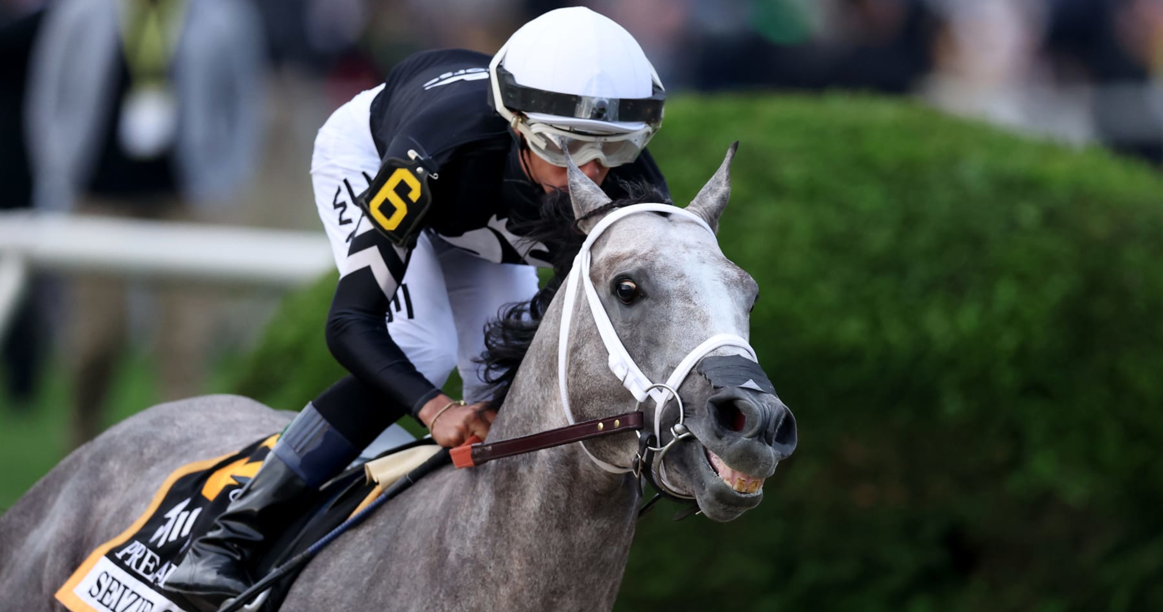 Belmont Stakes 2024: Post Time, TV Schedule, Post Positions Info