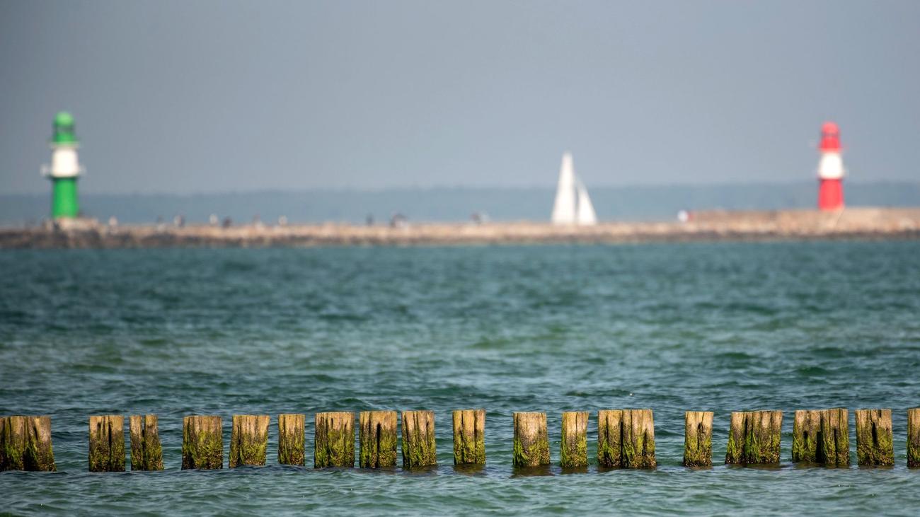 Umwelt: Studie verweist auf Thallium-Belastung der Ostsee