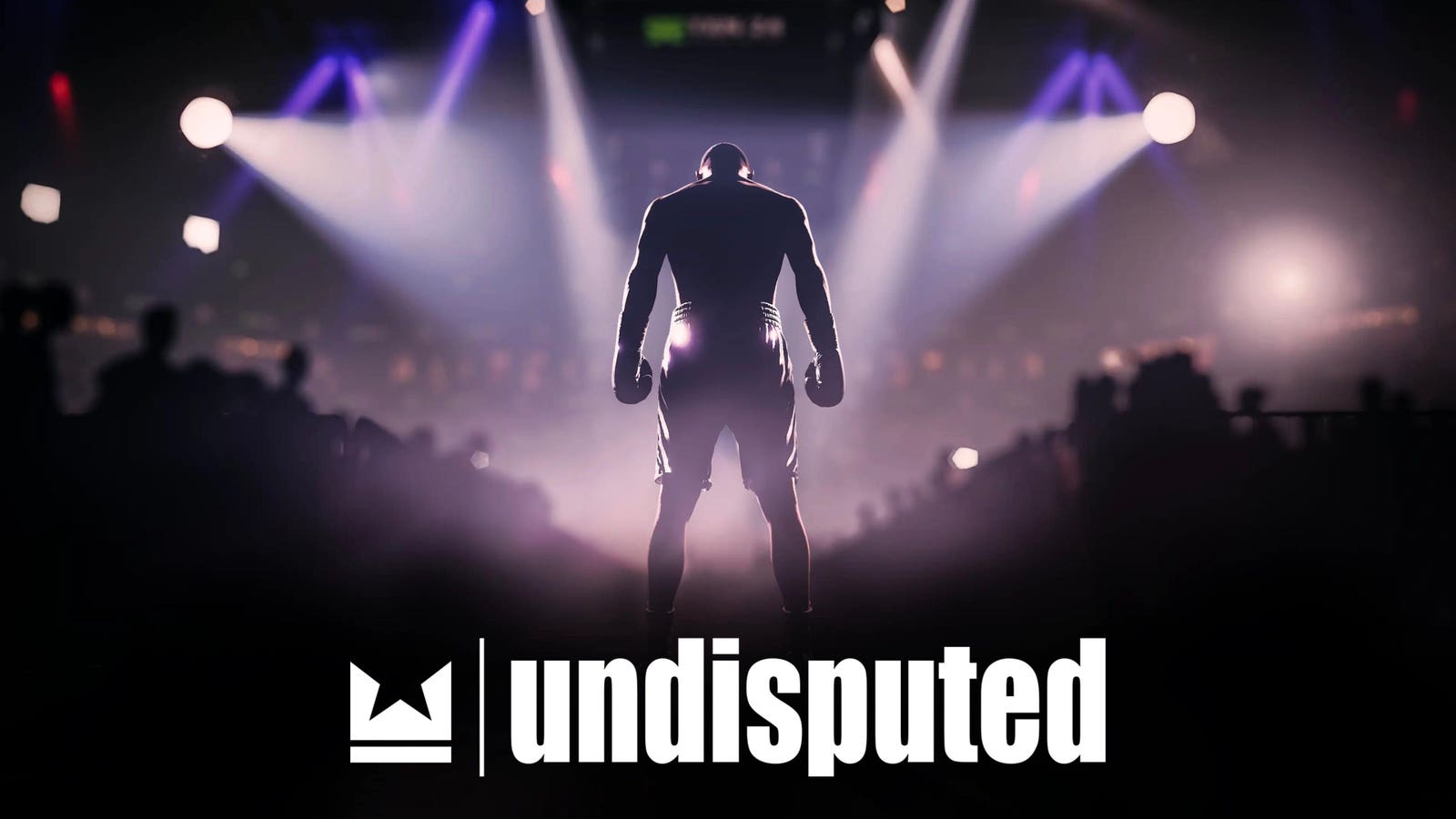 Undisputed Boxing Video Game Secures Nearly $20 Million In Funding