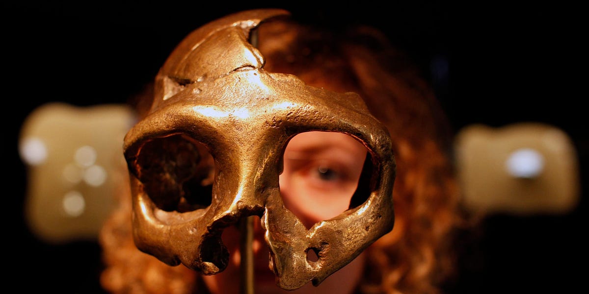 Humans and Neanderthals only had sex for a brief period, but it still fundamentally changed our DNA
