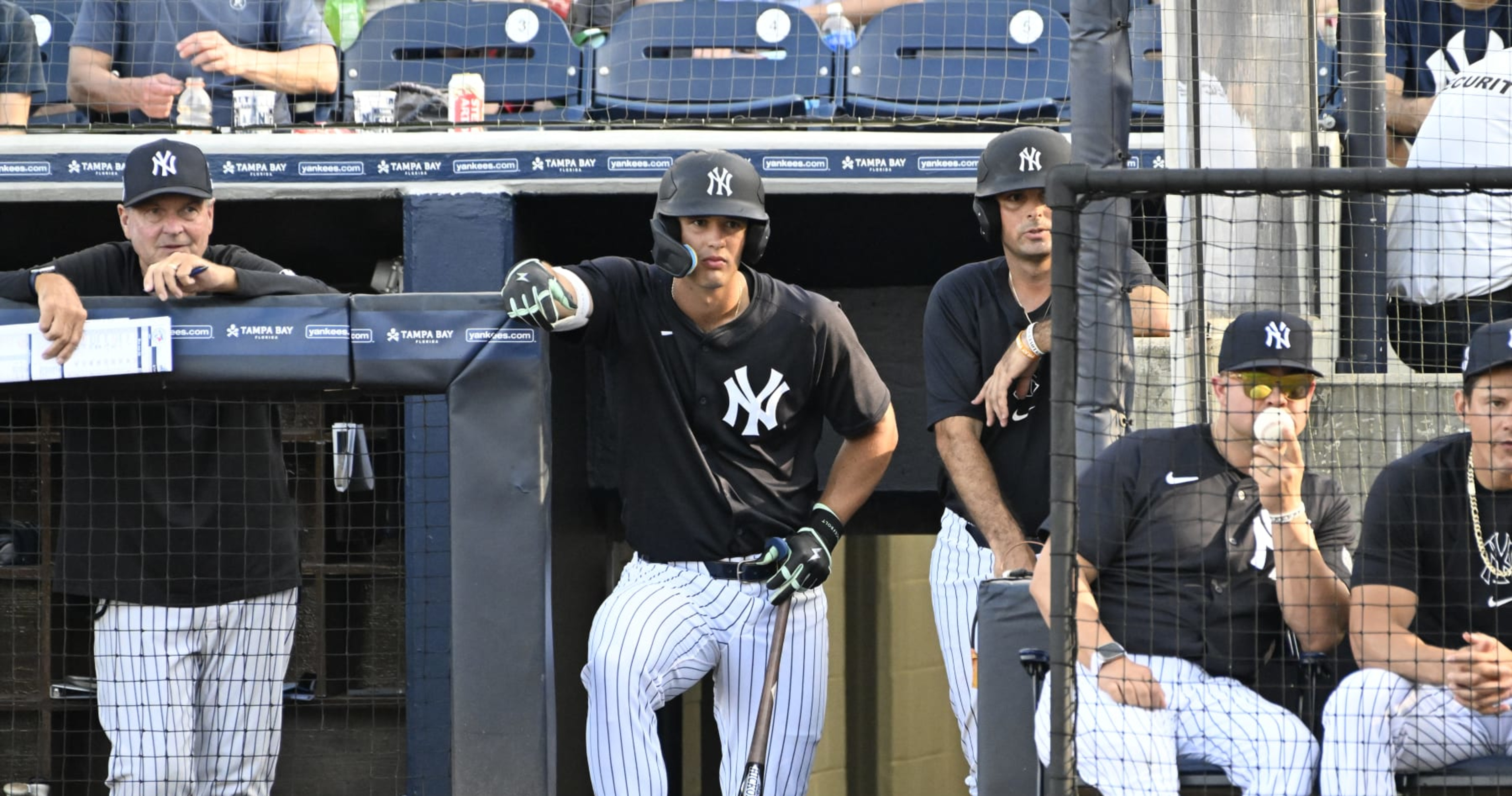 Yankees' Top Prospects, Farm System Progress Report, Draft Targets