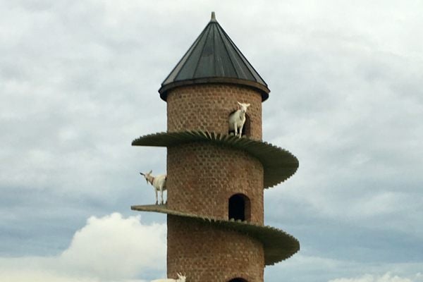 Tower of Baa-Goat in Windsor, Illinois