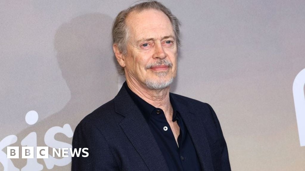 Actor Steve Buscemi punched in random New York attack