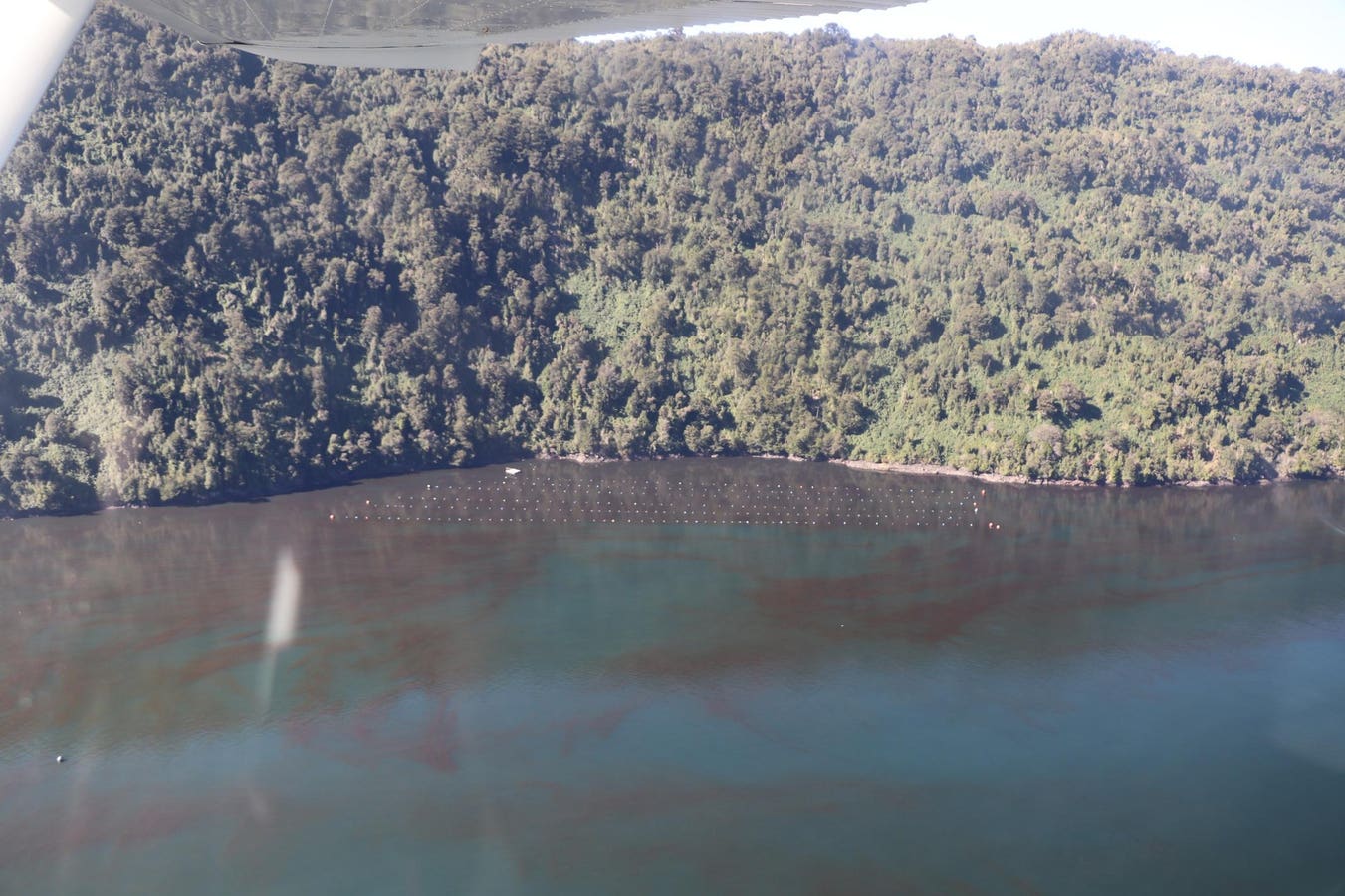 Is Climate Change Behind A Mysterious Algal Bloom In Patagonia?