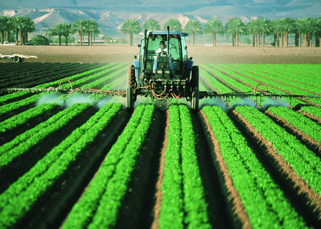 Atrazine, an endocrine-disrupting herbicide banned in EU, is widely used in US