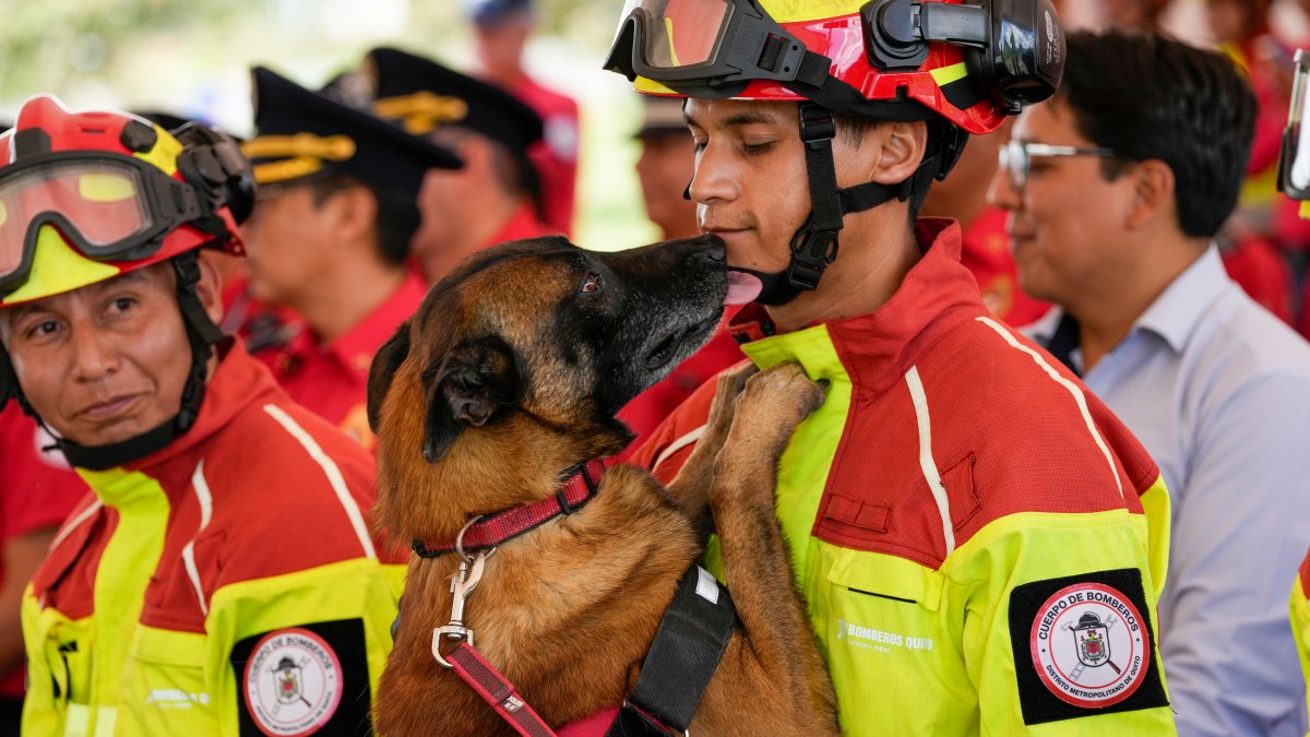 Firefighter dogs who rescued people from natural disasters in Ecuador retire