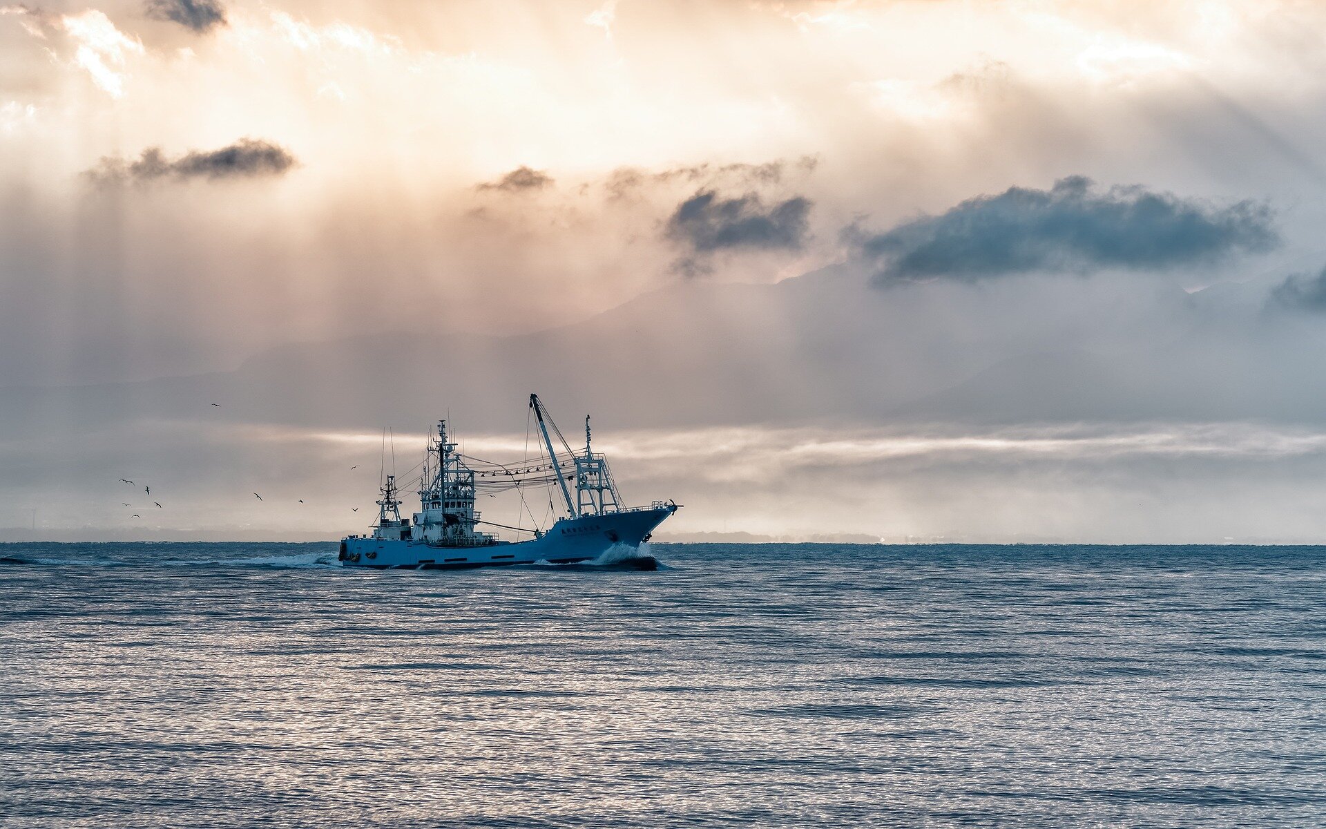 Researchers measure the cost of unsustainable industrial fishing on coastal communities—and it's vast