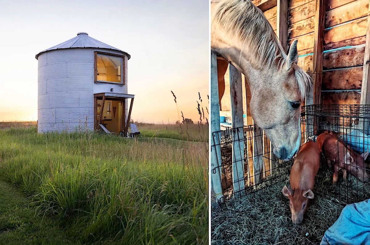 Live Out Your Inner Cowboy at These Rural Montana Farm Airbnbs