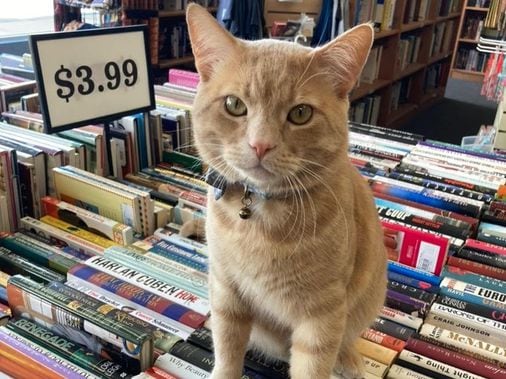 Rhode Map readers' favorite bookstores in Rhode Island