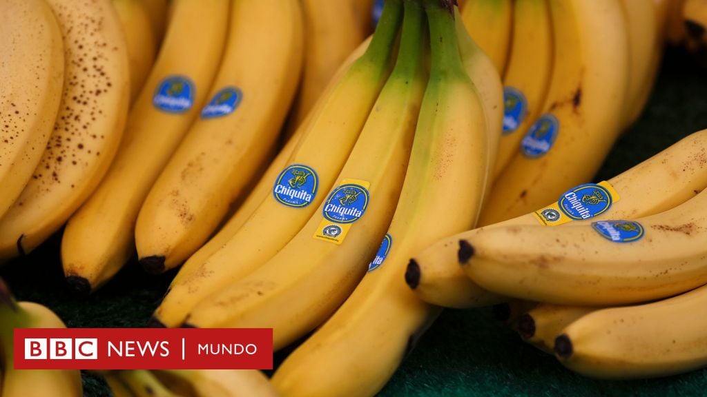 La oscura influencia en América Latina de la bananera de EE.UU. United Fruit Company y su heredera Chiquita Brands