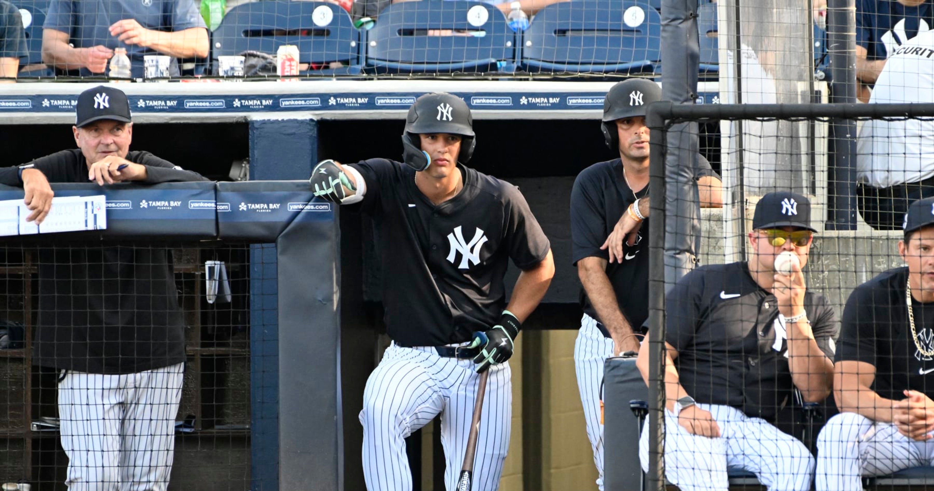 Yankees' Top Prospects, Farm System Progress Report, Draft Targets