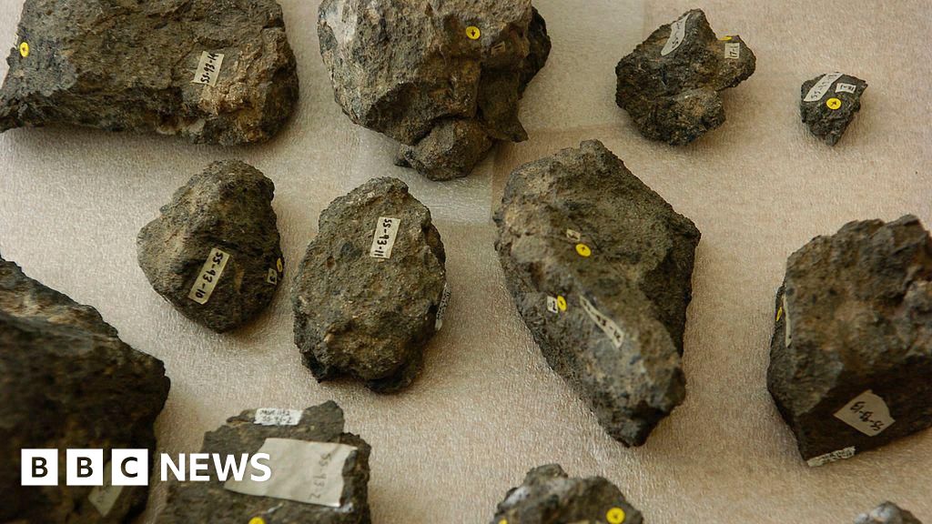 New 'Poozeum' displays record fossilised poo haul