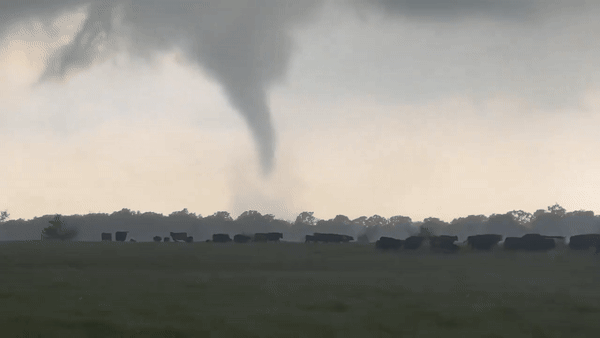Funnel Cloud Swirls in North Texas as Severe Weather Sweeps Region