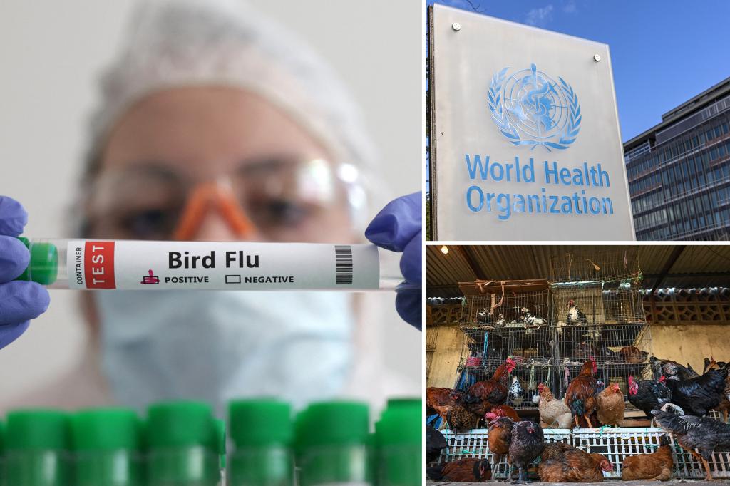 First fatal human case of bird flu subtype A(H5N2) confirmed: WHO