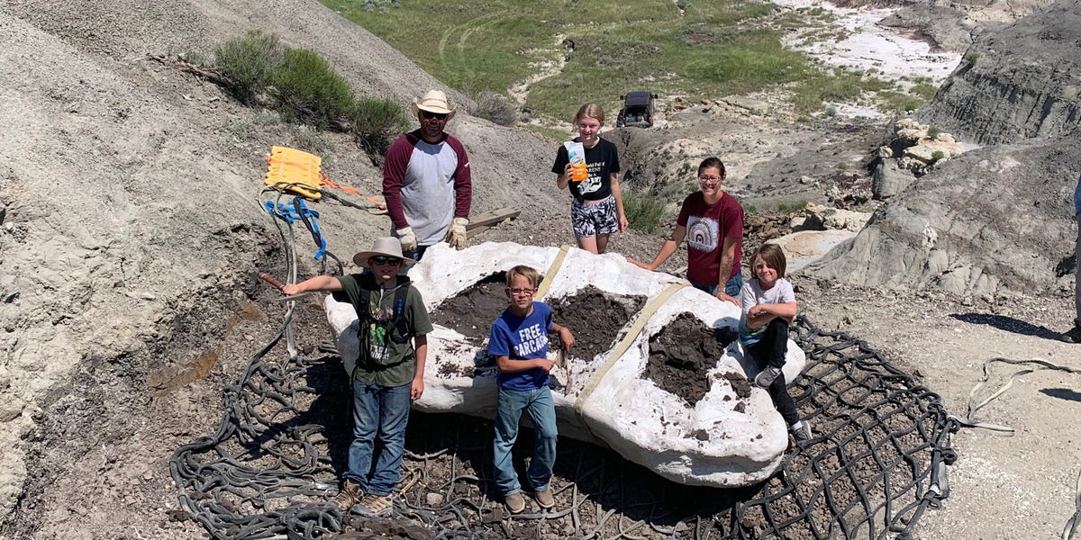 3 boys hunting for fossils made the ultimate discovery: a young T-rex skeleton that scientists have dubbed Teen Rex