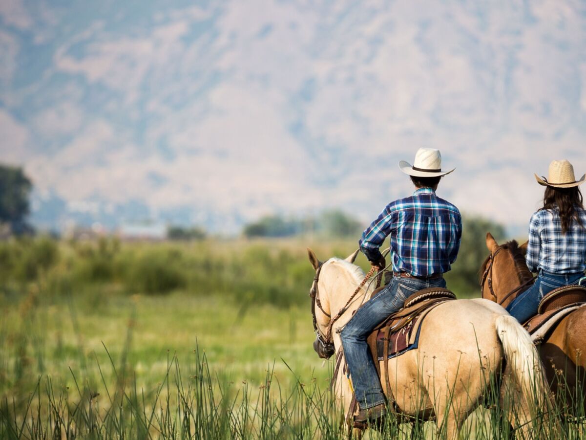 In Cheyenne, Wyoming, $125 Gets You a Taste of the Cowboy Lifestyle